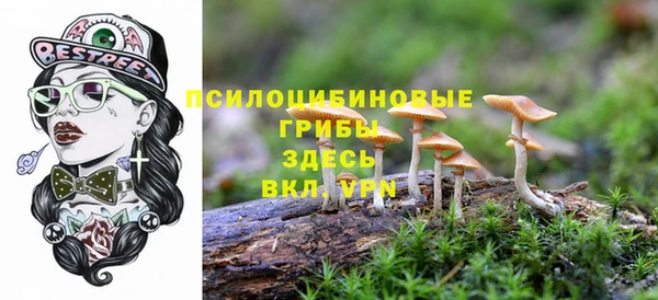 а пвп мука Абаза