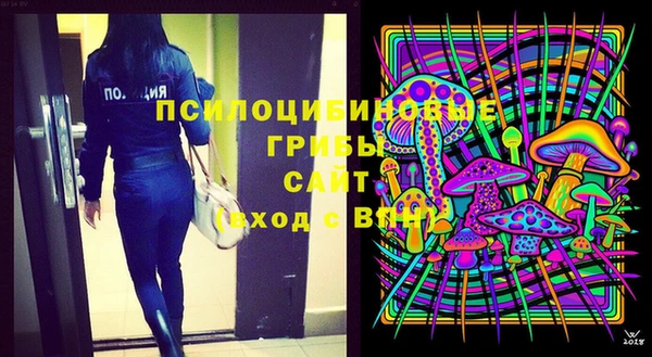 дурь Алексин