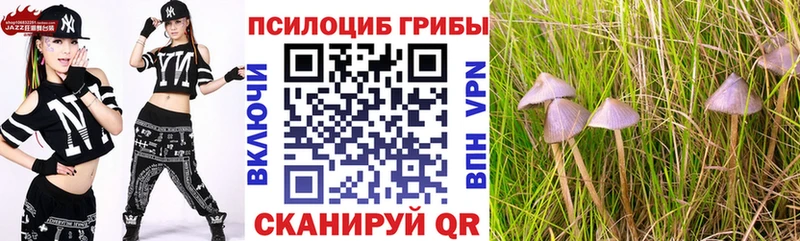 Псилоцибиновые грибы мухоморы  сколько стоит  Воткинск 